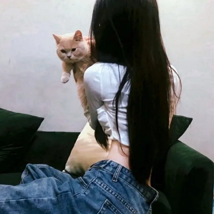 琼楼密约